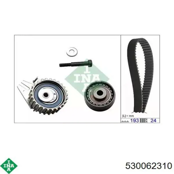 530062310 INA