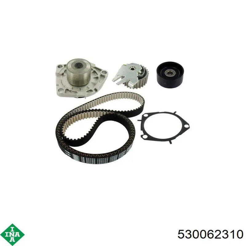 Комплект ГРМ 530062310 INA