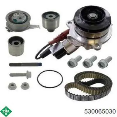 Купить 530065030 INA Комплект ГРМ