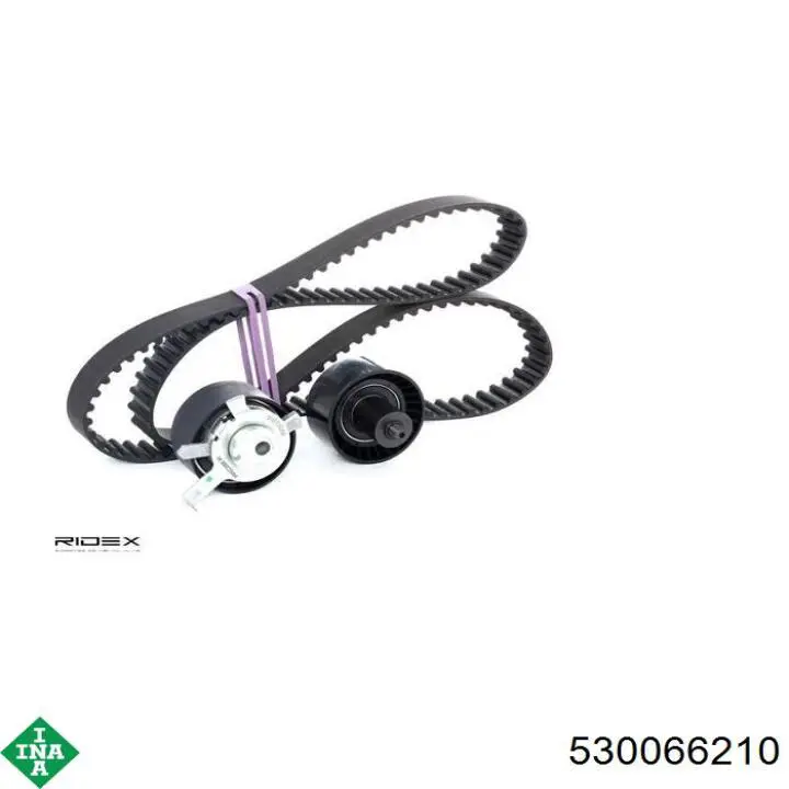 Комплект ГРМ 530066210 INA