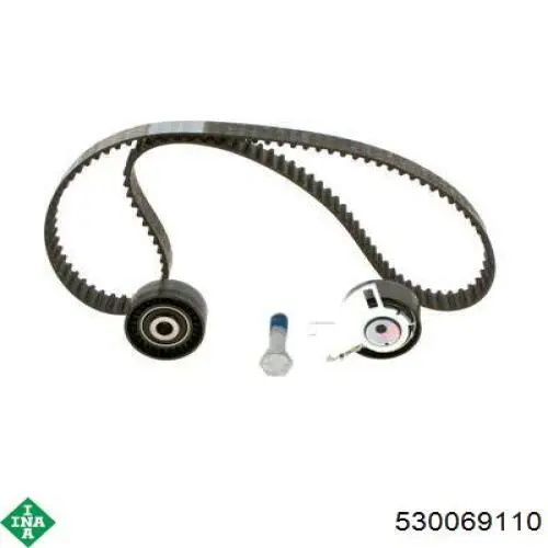 Комплект ГРМ 530069110 INA