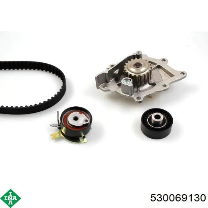 Комплект ГРМ 530069130 INA