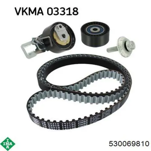 Купить 530069810 INA Комплект ГРМ