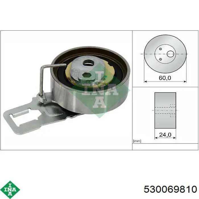 Комплект ГРМ 530069810 INA