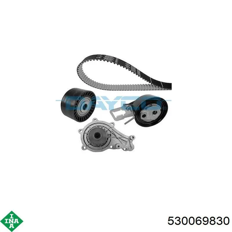 Комплект ГРМ 530069830 INA
