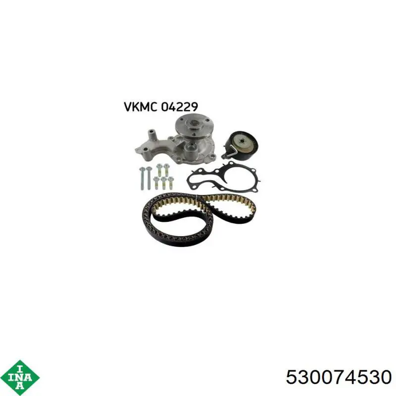 Купить 530074530 INA Комплект ГРМ