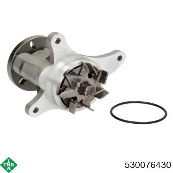 Комплект ГРМ 530076430 INA