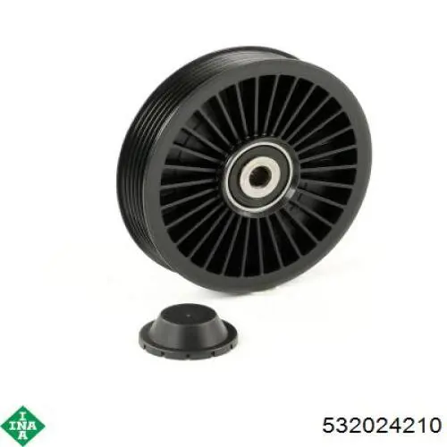 Купить 532024210 INA Паразитный ролик