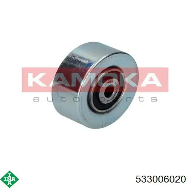 533006020 INA