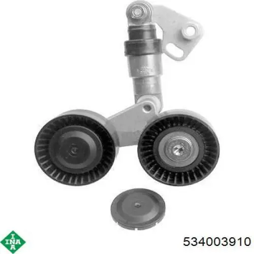Роликовий модуль натяжителя ремня INA 534003910 цена, от 107.38 USD
