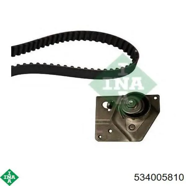 Ролик ГРМ 534005810 INA