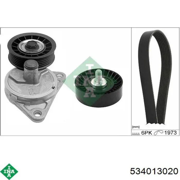 Роликовий модуль натяжителя ремня INA 534013020 цена, от 33.13 USD