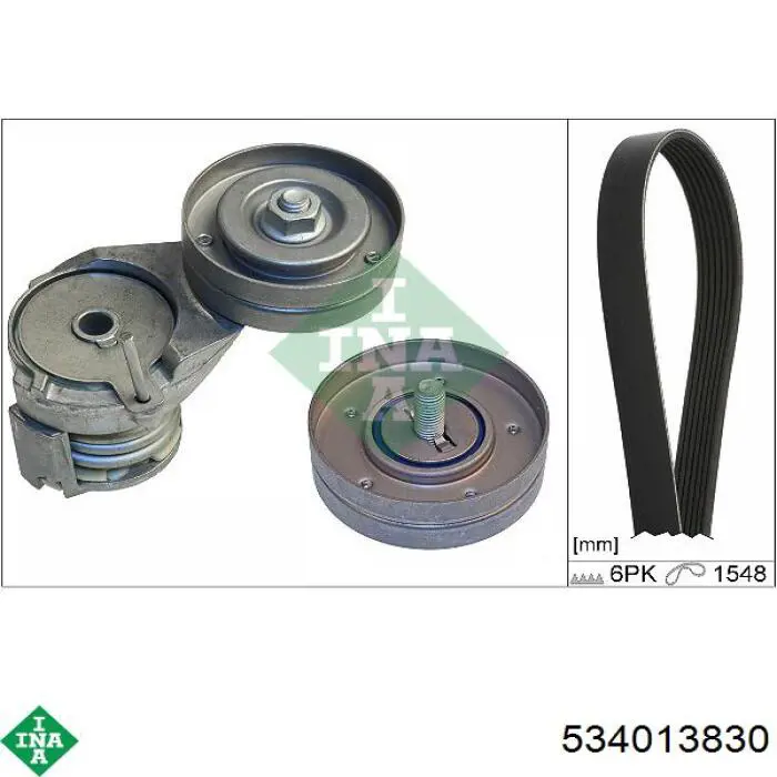 Роликовий модуль натяжителя ремня INA 534013830 цена, от 42.65 USD