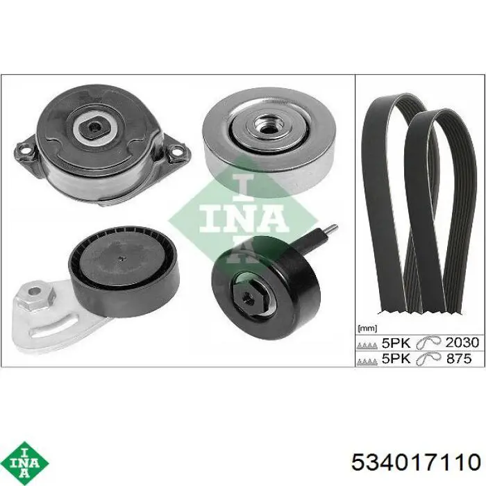 Роликовий модуль натяжителя ремня INA 534017110 цена, от 43.98 USD