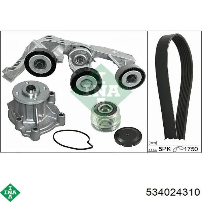 Роликовий модуль натяжителя ремня INA 534024310 цена, от 119.65 USD