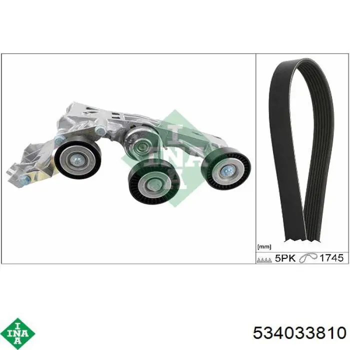 Роликовий модуль натяжителя ремня INA 534033810 цена, от 114.12 USD
