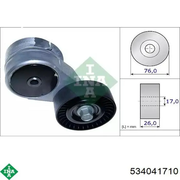Натяжитель приводного ремня 534041710 INA