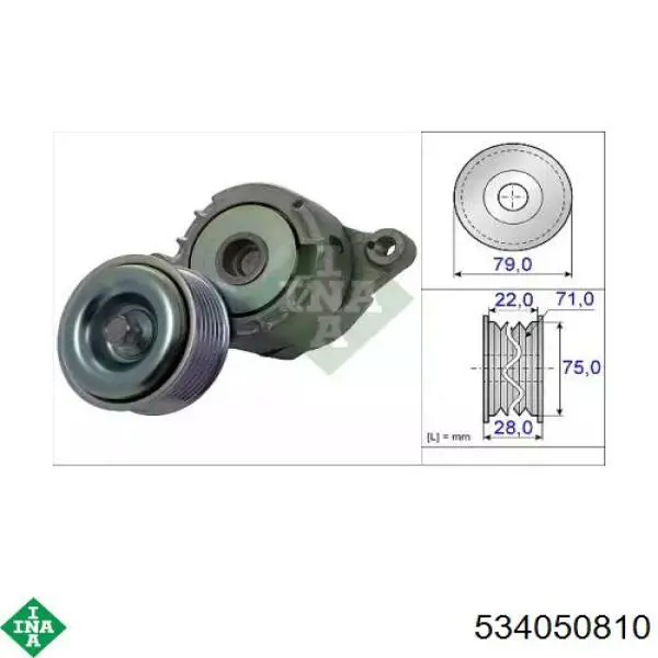 Натяжитель приводного ремня 534050810 INA