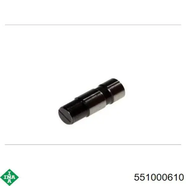 Натяжители цепи INA 551000610