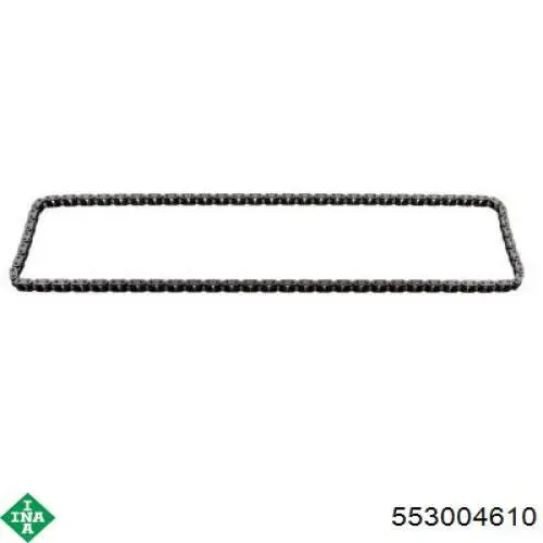 553004610 INA Цепь