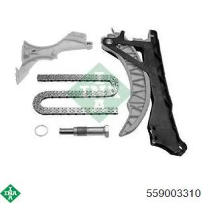 559003310 INA