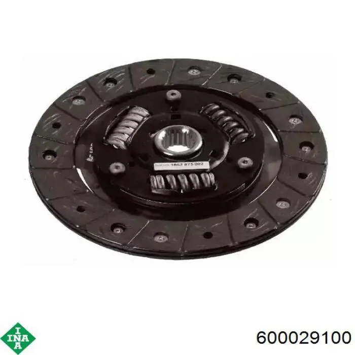 600029100 INA