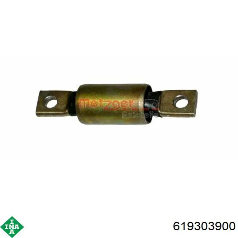 619303900 INA