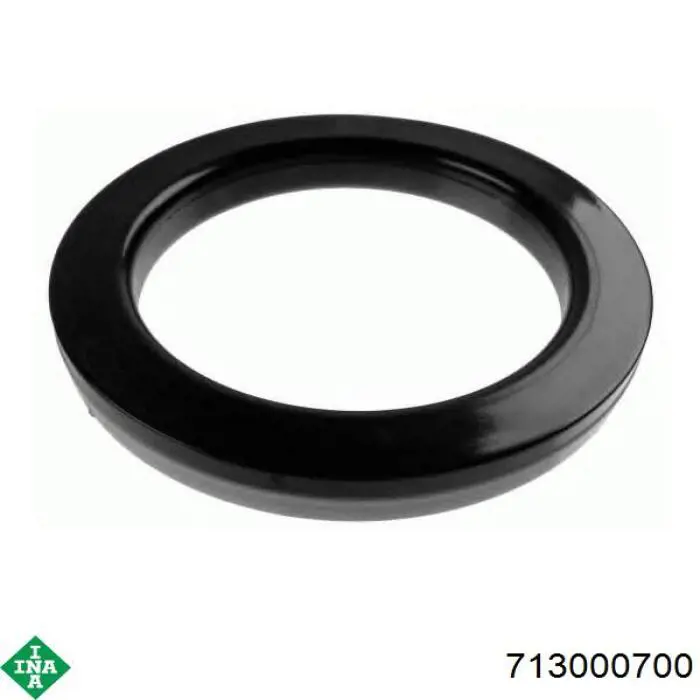713000700 INA