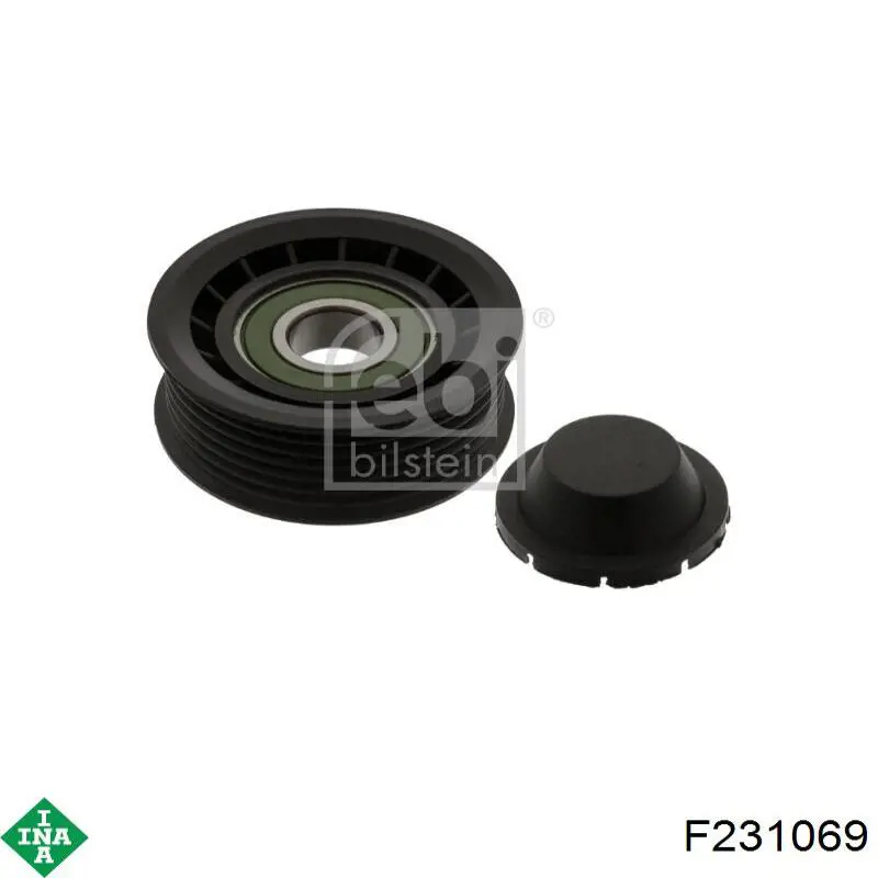 Паразитный ролик F231069 INA
