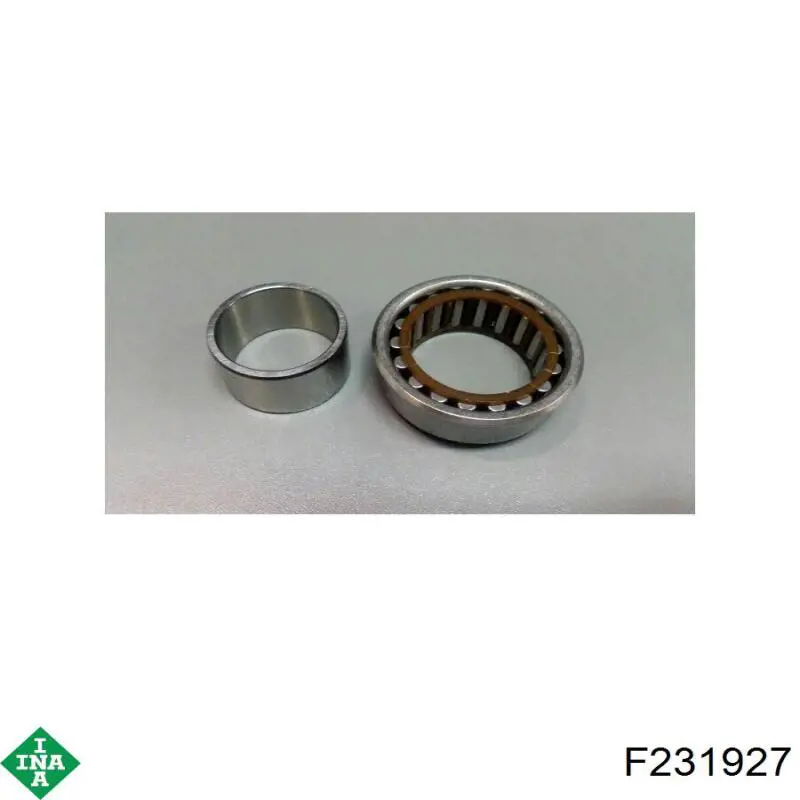 F231927 INA 