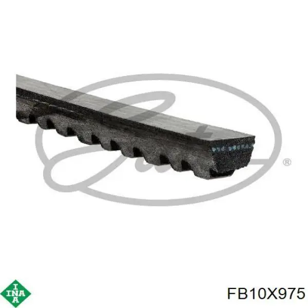 Клиновый ремень INA FB10X975 цена, от 3.64 USD