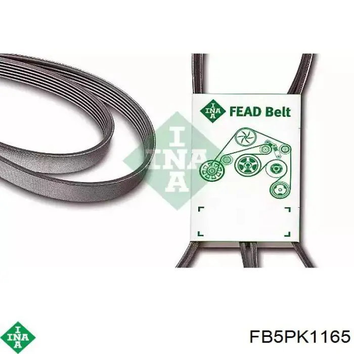 FB5PK1165 INA correia dos conjuntos de transmissão