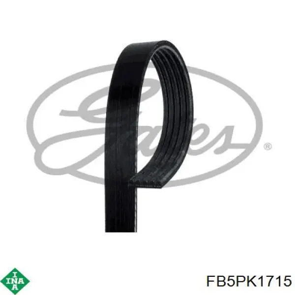 Клиновый ремень INA FB5PK1715 цена, от 11.19 USD