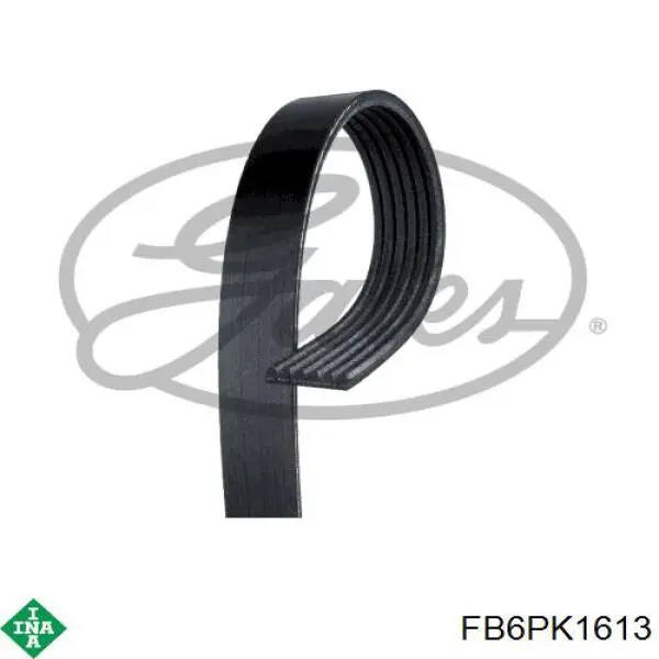 Клиновый ремень INA FB6PK1613 цена, от 12.69 USD