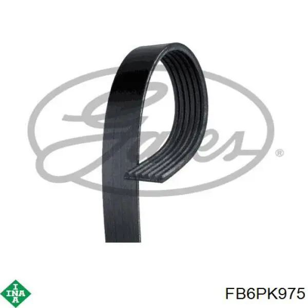 Клиновый ремень INA FB6PK975 цена, от 8.81 USD