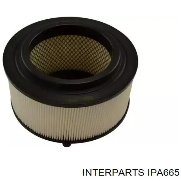 IPA665 Interparts Воздушный фильтр двигателя