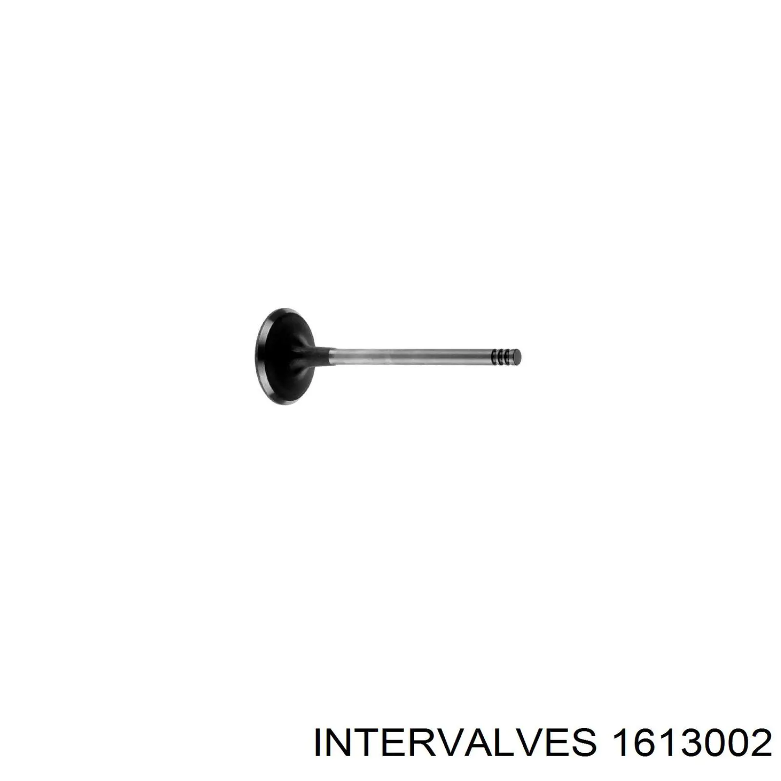 1613002 Intervalves клапан впускной