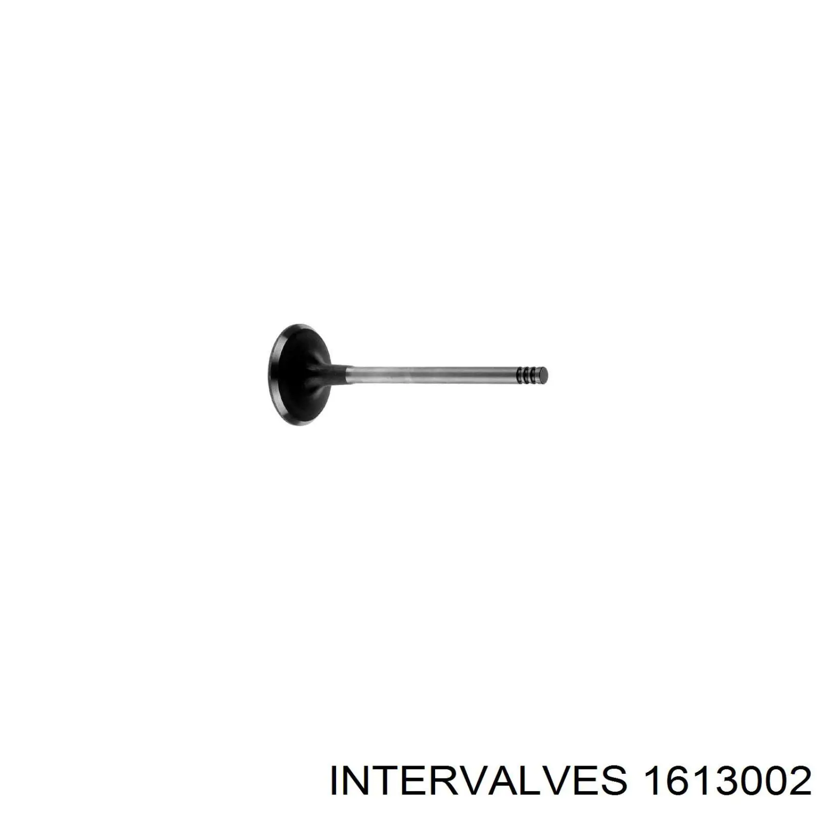 Впускной клапан 1613002 Intervalves