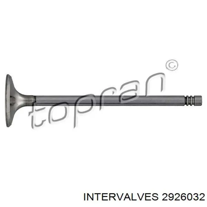 Впускной клапан 2926032 Intervalves