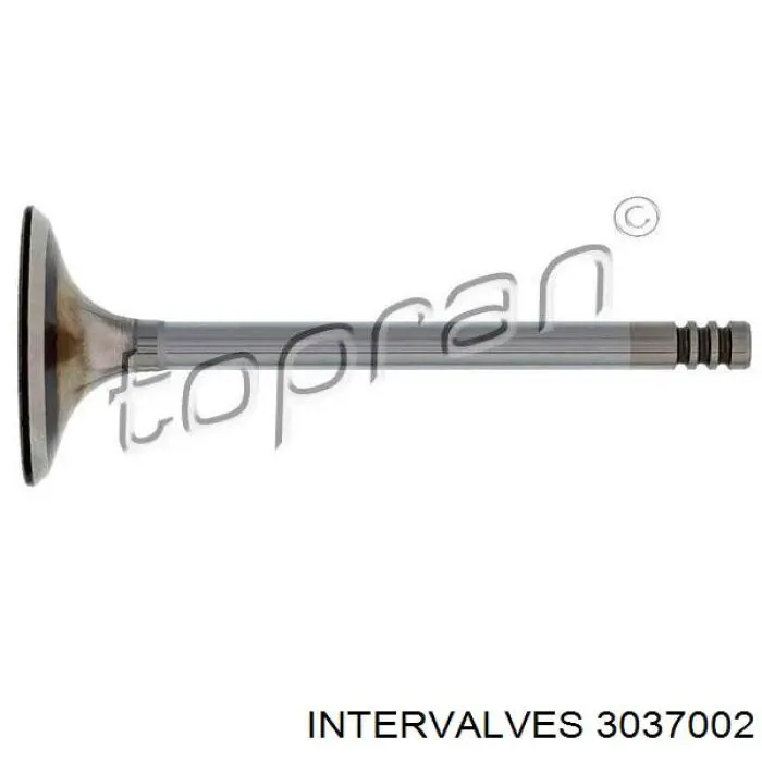 3037002 Intervalves клапан впускной