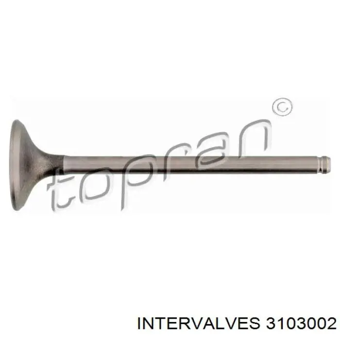 Впускной клапан 3103002 Intervalves
