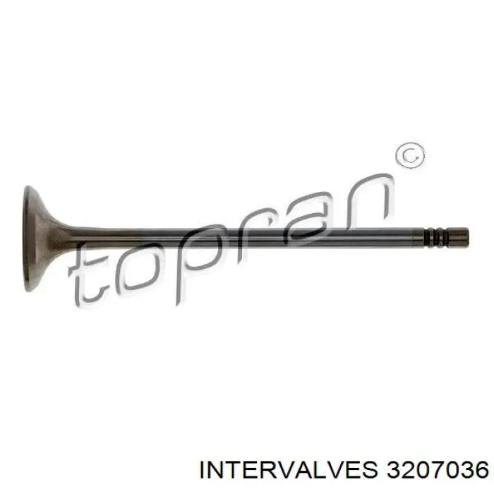 3207036 Intervalves