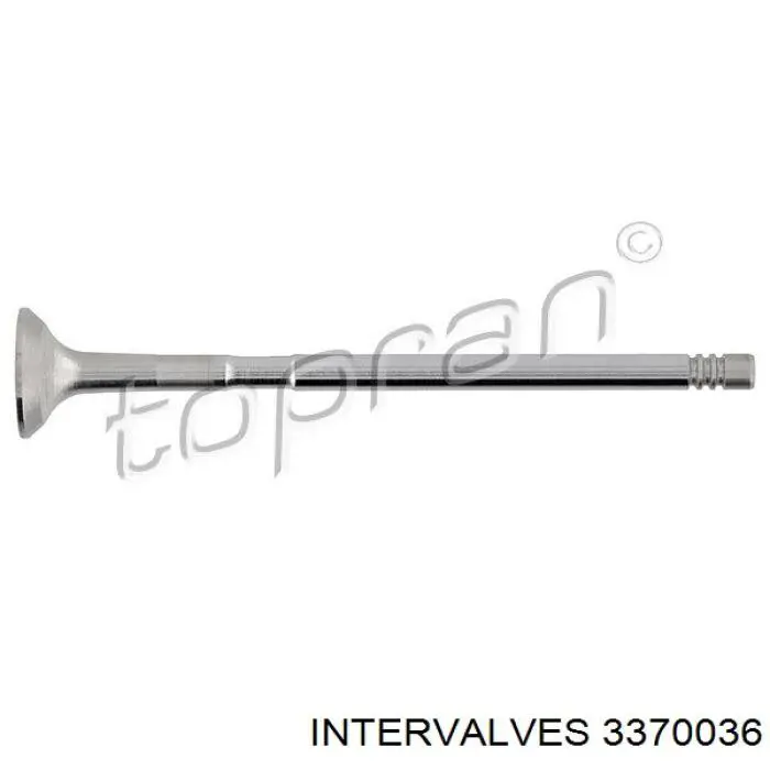 3370036 Intervalves válvula de escape