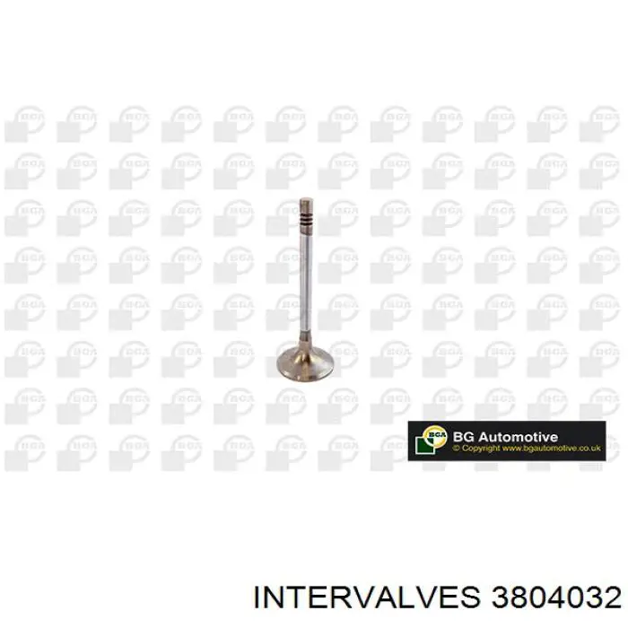 Впускной клапан 3804032 Intervalves