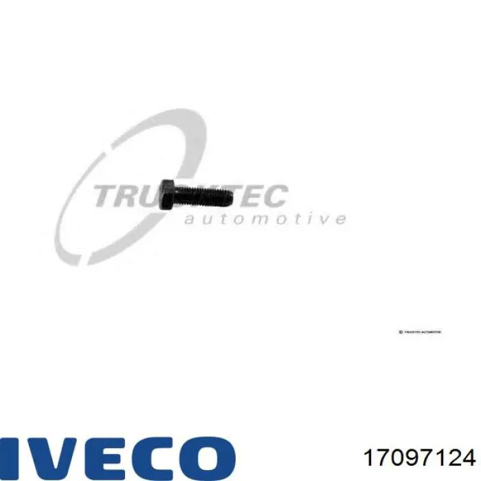  17097124 Iveco