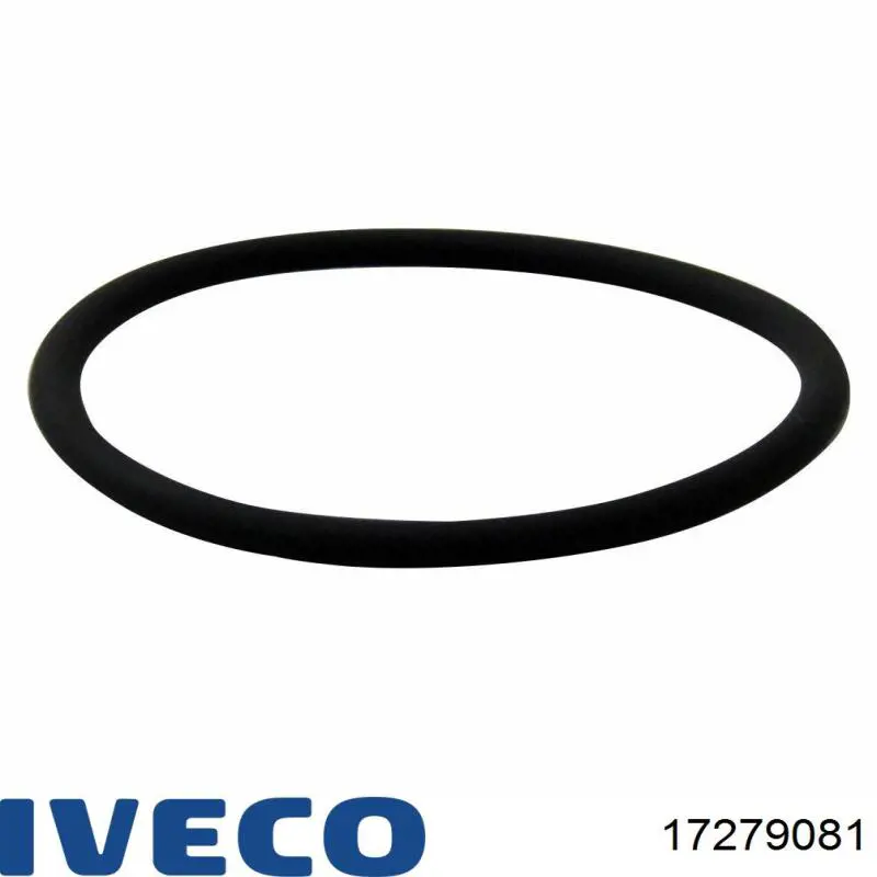 17279081 Iveco 