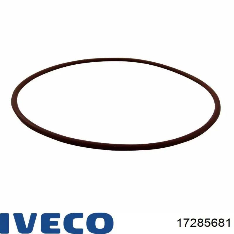 Прокладка водяной помпы 17285681 Iveco