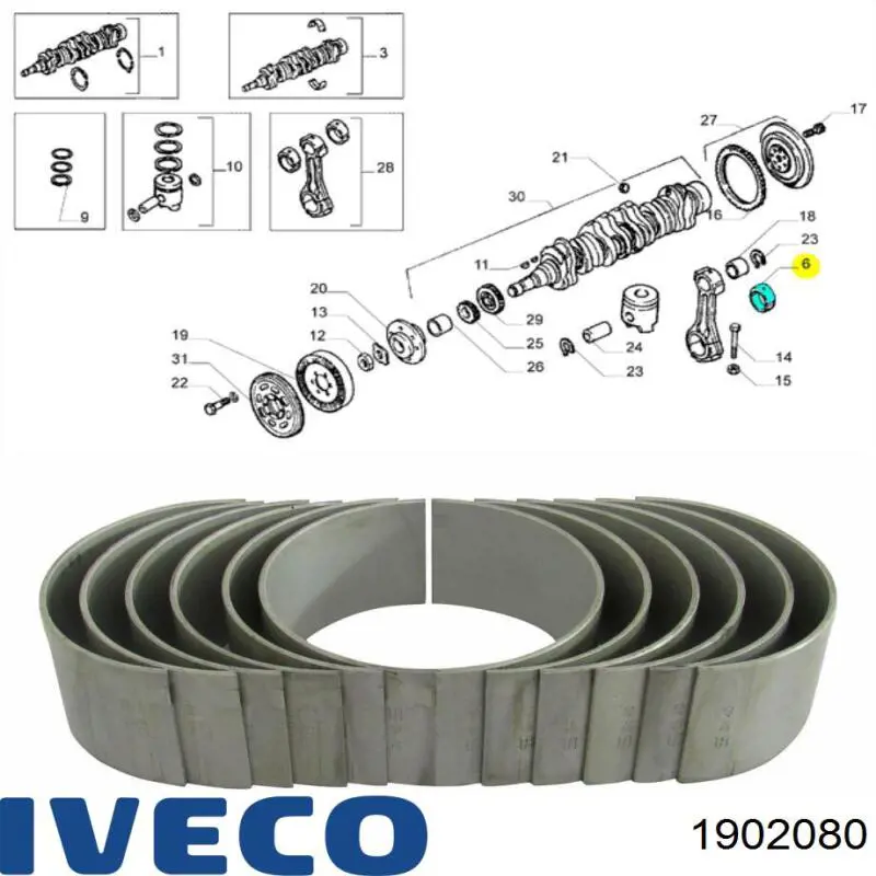 Вкладыши шатунные 1902080 Iveco