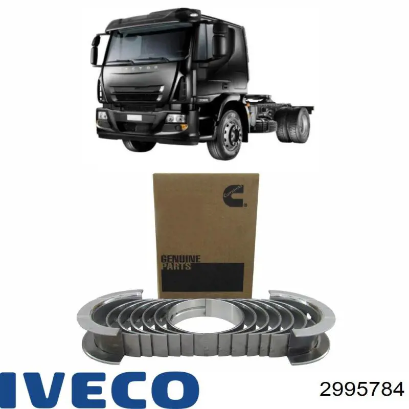 2995784 Iveco вкладыши коленвала коренные, комплект, стандарт (std)