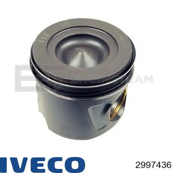 2997436 Iveco pistão do kit para 1 cilindro, std